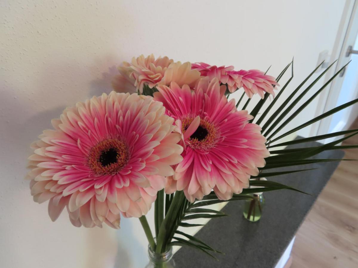 Ferienwohnung Eisl 2 Saint Wolfgang 외부 사진